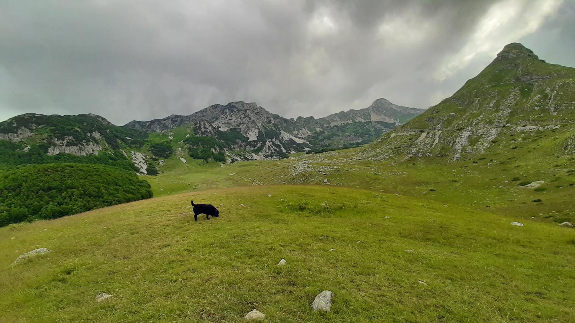 جابلياك Apartments Durmitor المظهر الخارجي الصورة