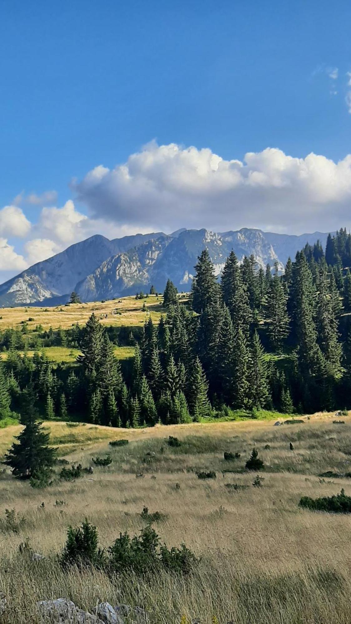 جابلياك Apartments Durmitor المظهر الخارجي الصورة